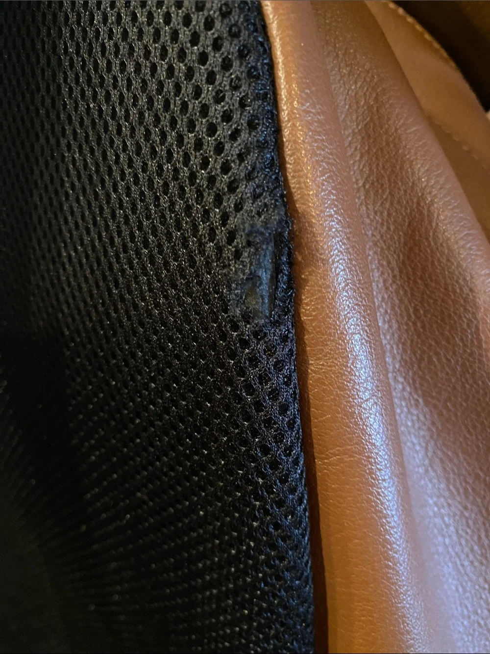 Coach men backpack
